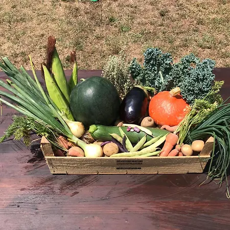 Global Chill Farm Loft *