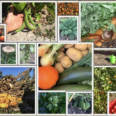 Global Chill Farm Loft * روجيل