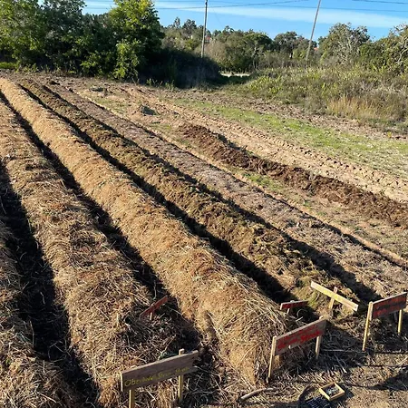 شقة Global Chill Farm Loft