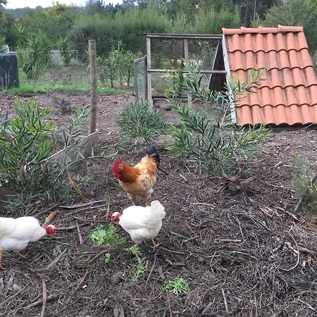 Apartment Global Chill Farm Loft *