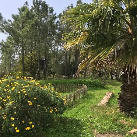 Global Chill Farm Loft شقة