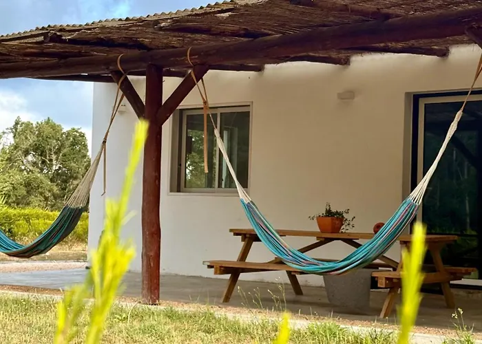 Global Chill Farm Loft