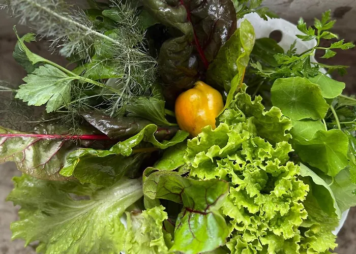 Global Chill Farm Loft